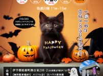 2024/10保護犬猫譲渡会用チラシハロウィン